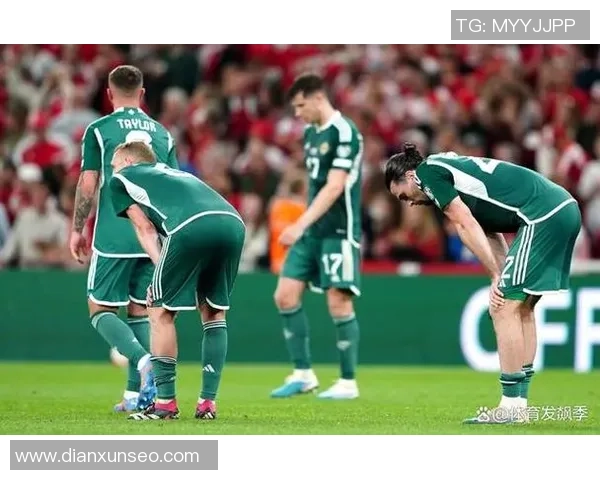 波斯尼亚与北爱决战前瞻分析双方实力与战术对比